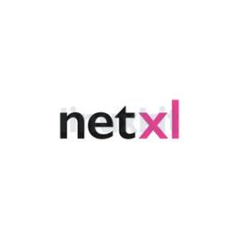 NetXL Linkedin Activity NetXL Linkedin Activity